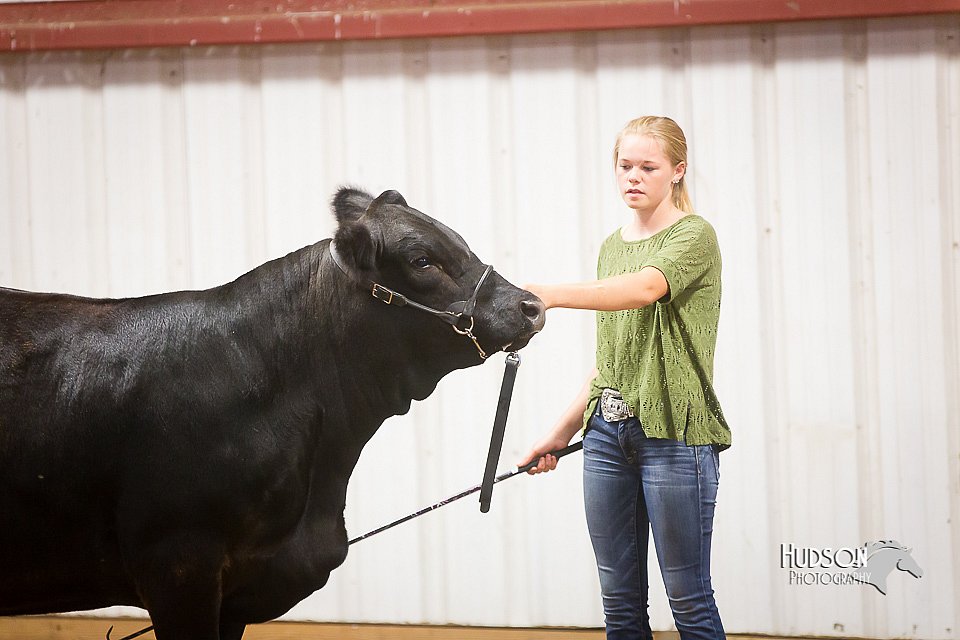 LCFair2016-1898.jpg