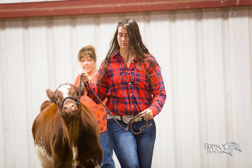 LCFair2016-1913.jpg