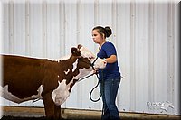 LCFair2016-1591.jpg