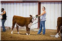 LCFair2016-1592.jpg