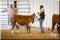 LCFair2016-1593.jpg