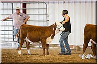 LCFair2016-1594.jpg