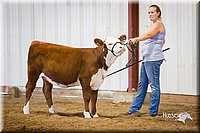 LCFair2016-1595.jpg