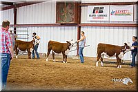 LCFair2016-1596.jpg