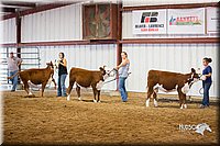 LCFair2016-1598.jpg