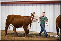 LCFair2016-1614.jpg