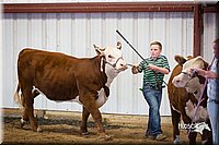 LCFair2016-1615.jpg