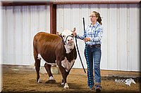 LCFair2016-1616.jpg