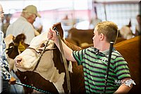 LCFair2016-1617.jpg