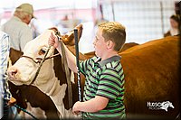 LCFair2016-1618.jpg