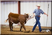 LCFair2016-1621.jpg