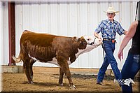 LCFair2016-1622.jpg