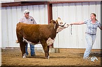 LCFair2016-1623.jpg