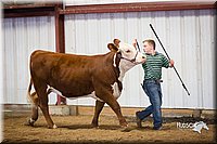 LCFair2016-1624.jpg