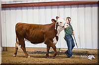 LCFair2016-1625.jpg