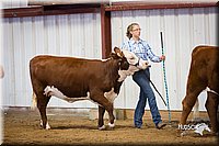LCFair2016-1626.jpg