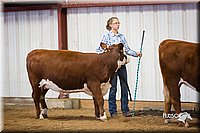 LCFair2016-1627.jpg
