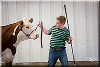 LCFair2016-1628.jpg