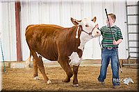LCFair2016-1629.jpg