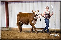 LCFair2016-1630.jpg