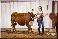 LCFair2016-1631.jpg
