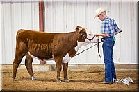 LCFair2016-1632.jpg