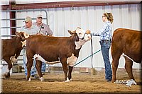 LCFair2016-1633.jpg