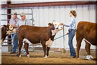 LCFair2016-1634.jpg