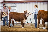 LCFair2016-1635.jpg