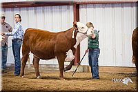 LCFair2016-1636.jpg