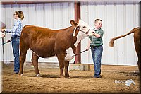 LCFair2016-1637.jpg