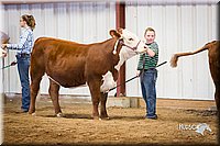 LCFair2016-1638.jpg