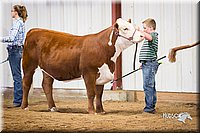 LCFair2016-1639.jpg