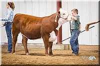LCFair2016-1640.jpg