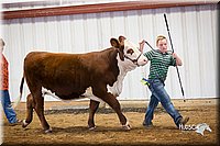 LCFair2016-1664.jpg