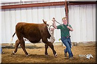 LCFair2016-1665.jpg
