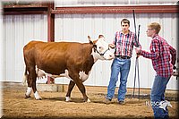 LCFair2016-1751.jpg