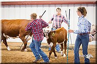 LCFair2016-1752.jpg