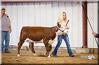 LCFair2016-1753.jpg
