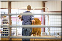 LCFair2016-1814.jpg