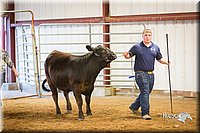 LCFair2016-1815.jpg