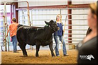 LCFair2016-1816.jpg