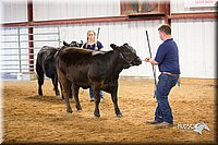 LCFair2016-1817.jpg