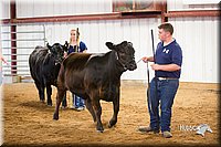 LCFair2016-1818.jpg