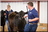 LCFair2016-1819.jpg