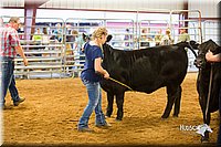 LCFair2016-1820.jpg