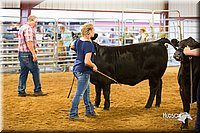 LCFair2016-1821.jpg
