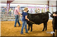 LCFair2016-1822.jpg