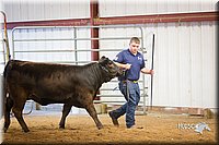 LCFair2016-1823.jpg