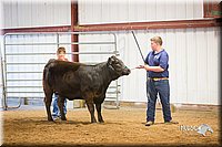 LCFair2016-1824.jpg